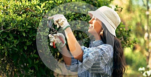 Horizontal side view of a happy female gardener cuts the bush with pruners in the garden. A young woman gardening in the farm