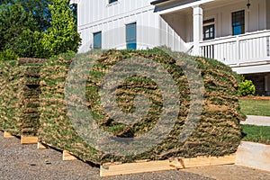 Horizontal Sod Closeup with House