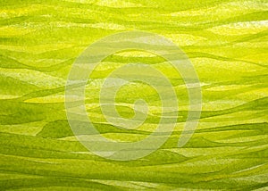 Horizontal spring grass background painted with gouache
