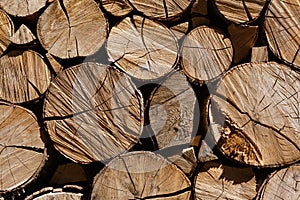 Horizontal squeezed logs