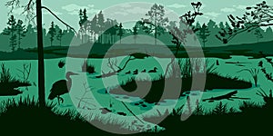 Horizontal swamp landscape. Marsh silhouette background with forest and bird. Pond outdoor panorama. River morning scene