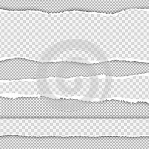 Horizontal torn paper edge. Realistic vector torn paper with ripped edges. Collection of white torn paper. Vector