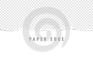 Horizontal torn paper edge. Ripped squared horizontal white paper strips. Vector illustration