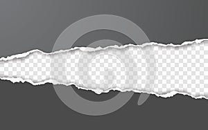 Horizontal torn paper edge. Ripped squared horizontal white paper strips. Vector illustration