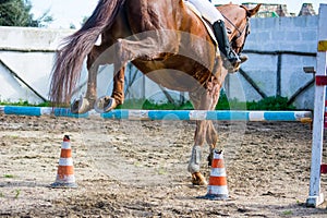 Horizontal View Of A Brown Horse Jumping The Obstacle