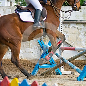 Horizontal View Of A Brown Horse Jumping The Obstacle