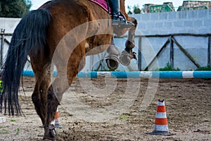 Horizontal View Of A Brown Horse Jumping The Obstacle