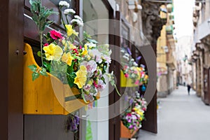 Horizontal View of Close Up of a Composition of Flowers in a Yellow Wooden Box Hanged on a Door in a Street. Taranto, South of It