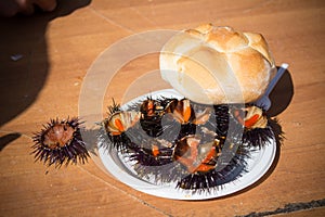 Horizontal View of Close Up of Fresh Openes Sea Urchins Near Bread Ready to Be Eaten. Bari, South of Italy photo