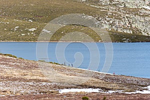 Horizontal view of families playing in winter on the mountainside near the water of the fish pond in Zamora