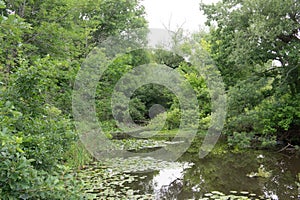 Horizontal view of a Lagoon