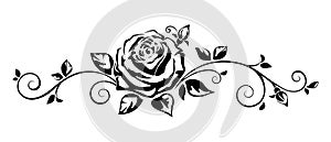 Horizontal vignette with a rose. Vector illustration.