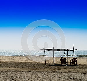Horizontal vivid man meeting bright morning at sandy beach lands