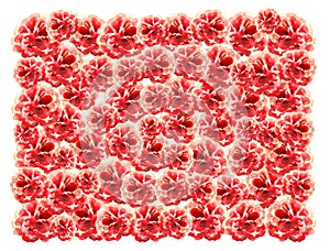 Horizontal vivid motley pink-red background of repeating chaotically watercolor flowers on the baffle of light paper