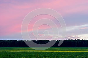 Horizontal vivid sunset meadow landscape background