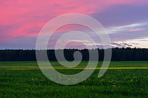 Horizontal vivid sunset meadow landscape background