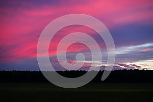 Horizontal vivid sunset meadow landscape background