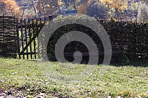 horizontal wattle fence with wicket overgrown with vines and wooden bench near at summer day in Yasnaya Polyana, Russia