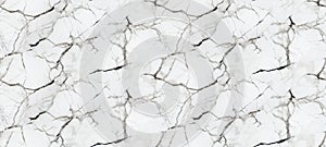 Horizontal white background of Calacatta White and Black Marble Stone.