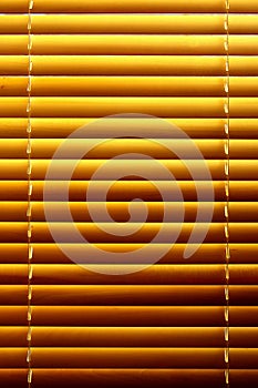 Horizontal yellow jalousie