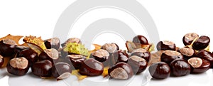 Horizontally many chestnuts with autumn leaves on white background