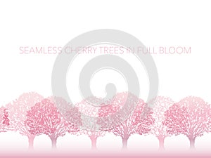 Horizontally Repeatable Seamless Cherry Trees In Full Bloom Isolated On A White Background.