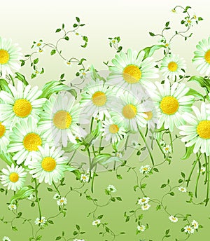 Horizontally repeating pattern of large and small daisies