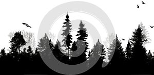 Horizontally seamless grayscale forest tree line silhouette