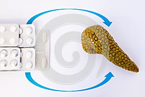 Hormone or enzyme replacement therapy of pancreas indigestion concept photo. Model of pancreas gland is close to drugs in bliste