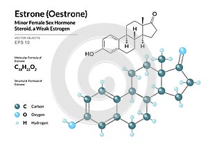 Hormone Estrone Oestrone. Structural Chemical Formula and Molecule 3d Model. Atoms with Color Coding. Vector Illustration