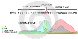 hormone level