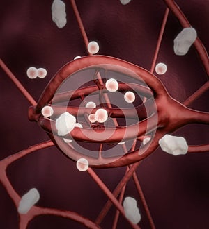 Hormone produced by gland