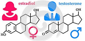 Hormones photo