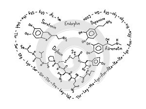 Hormones of love