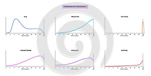 Hormones in pregnancy