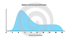 Hormones in pregnancy