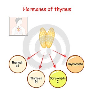 Hormones produced by the Thymus gland