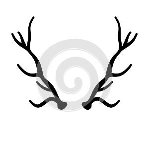 Horn of deer or elk. Hunting trophy. Black and white silhouette of antler