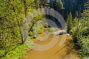 Hornad River near Tomasovsky