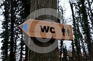 Hornbeam tree on which a toilet sign is forcibly bolted. Wooden sign with a pictogram of a man and a woman in the shape of an arro