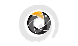 Hornbill bird with shutter camera logo symbol vector icon illustration graphic design