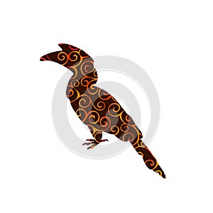 Hornbill bird spiral pattern color silhouette animal