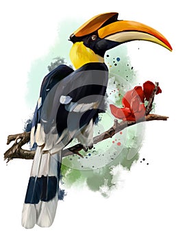 The hornbill sitting on a branch. Watercolor painting photo