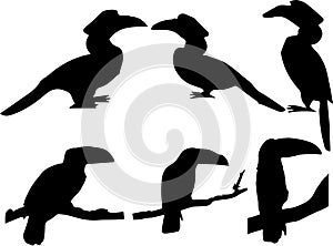 Hornbills Bird silhouette Set