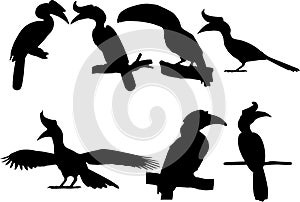 Hornbills Bird silhouette Set