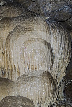 Horne Lake Caves