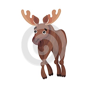 Horned Brown Elk as Herbivore Forest Animal Vector Illustration