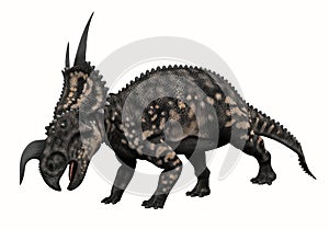 Horned Dinosaur