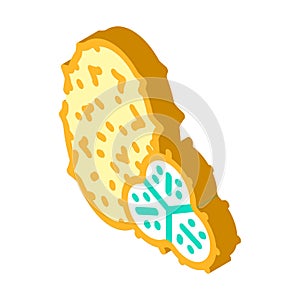horned melon fruit isometric icon vector illustration