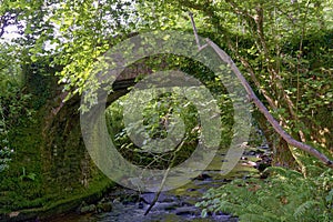 Horner Packhorse Bridge